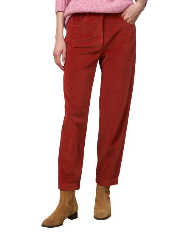 women's spring pantsPepite Velvet Pants In Spice